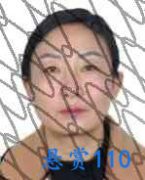 关于对王树琼的悬赏通告