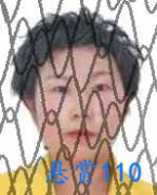 关于对洪芳的悬赏通告