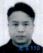 福建省石狮市人民法院对张杰辉的悬赏执行公告